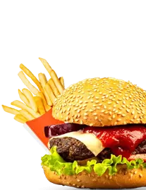 Brando's cheese burger with fries